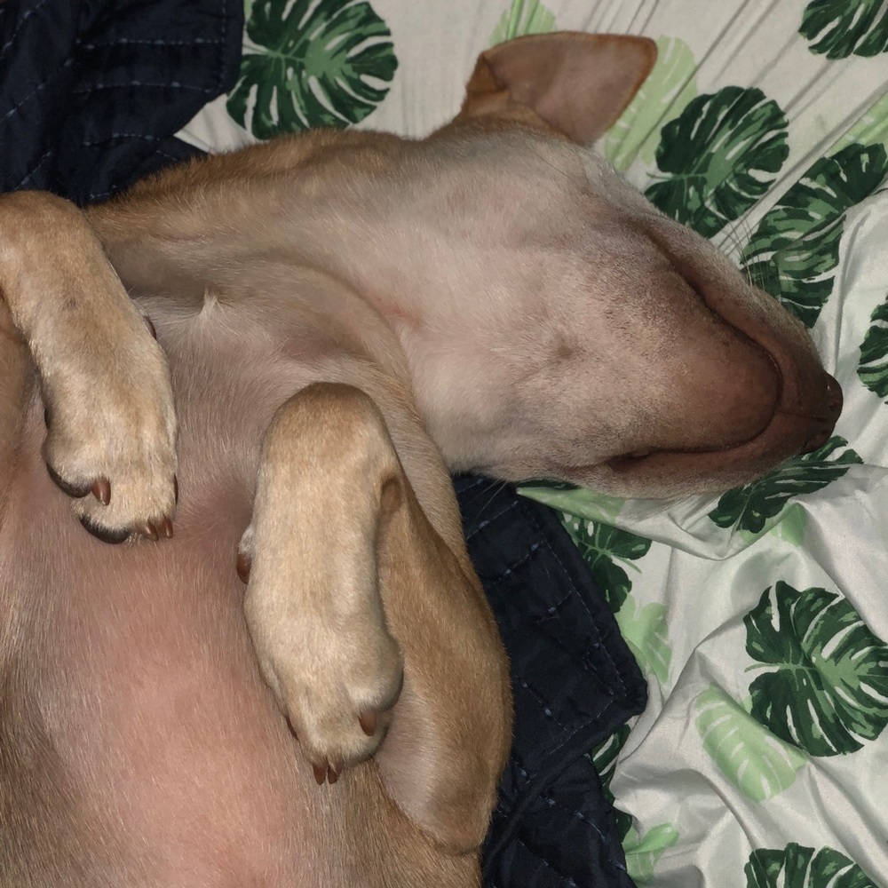 Meet your Posher, Cecilia